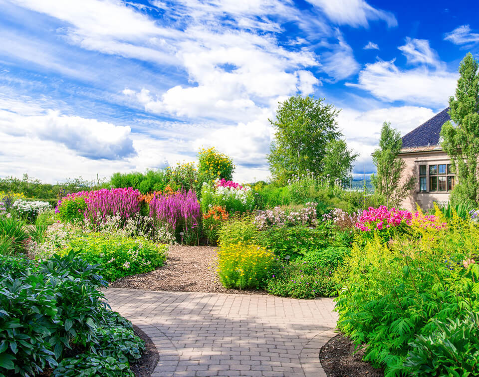 Landscaping Services
